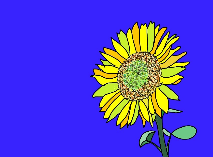向日葵🌻