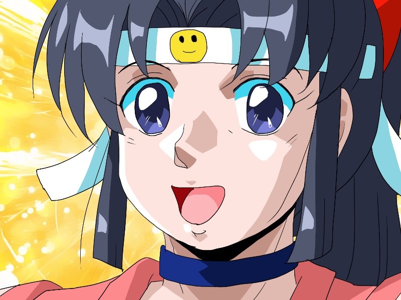 ニニンがシノブ伝　忍